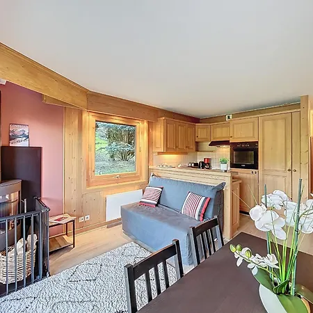 Confortable 2 Pieces Avec Jardin, Parking, Face Au Mont Blanc - Fr-1-560-152 Appartement Combloux